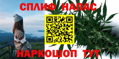 гидра Ливны