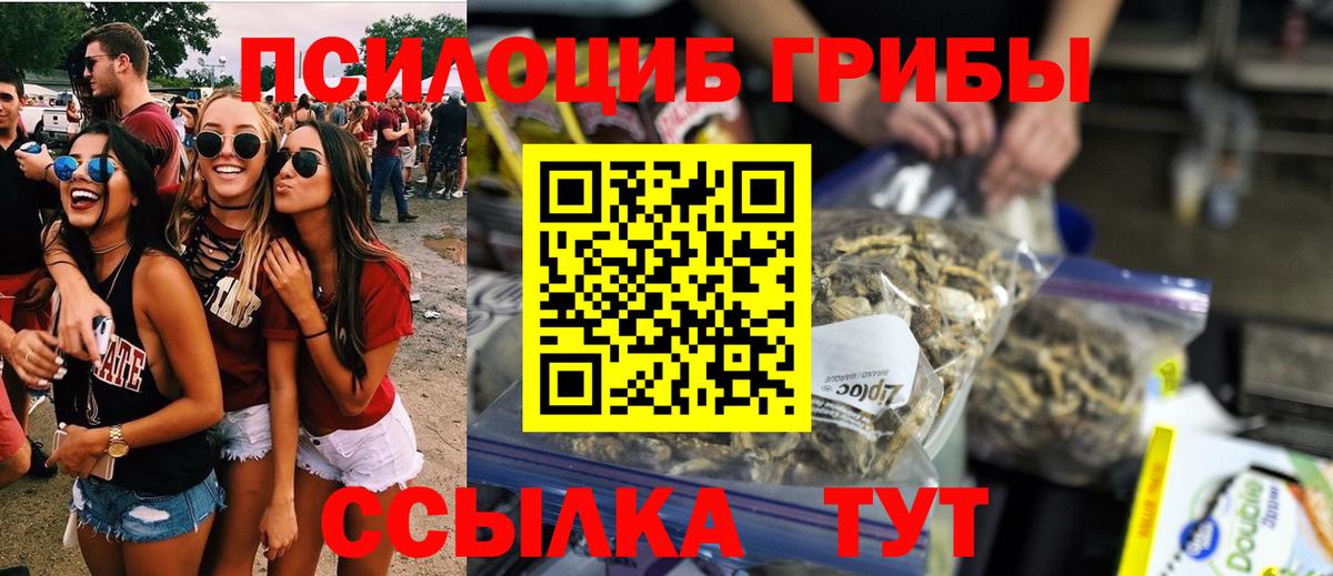 Псилоцибиновые грибы мухоморы Благовещенск